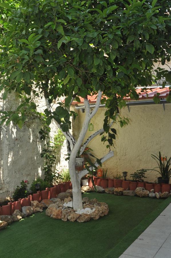 Appartamento Demi'S Garden Near The Metro Of Atene Esterno foto